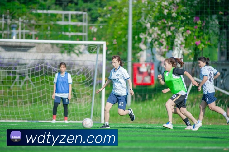 韦德体育品牌故事